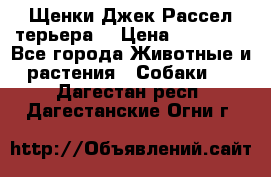 Щенки Джек Рассел терьера  › Цена ­ 15 000 - Все города Животные и растения » Собаки   . Дагестан респ.,Дагестанские Огни г.